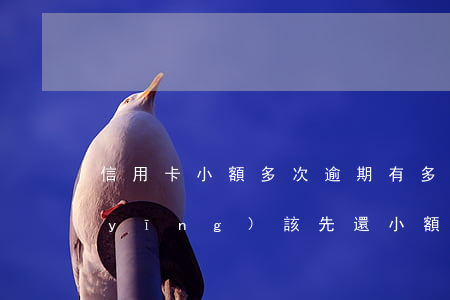 信用卡小額多次逾期 有多張信用卡逾期,應(yīng)該先還小額還是大額