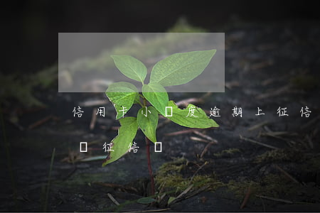 信用卡小額度逾期上征信嗎(小額信貸逾期影響征信嗎)