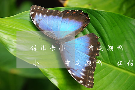 信用卡小額沒有逾期影響征信嗎貼吧（信用卡小額沒有逾期影響征信嗎）