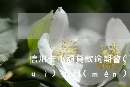 信用卡,小額貸款逾期會(huì)不會(huì)上門(mén)催收-信用卡,小額貸款逾期會(huì)不會(huì)上門(mén)催收