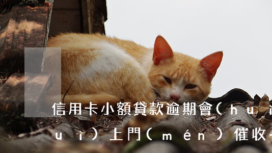 信用卡小額貸款逾期會(huì)不會(huì)上門(mén)催收-信用卡小額貸款逾期會(huì)不會(huì)上門(mén)催收呢