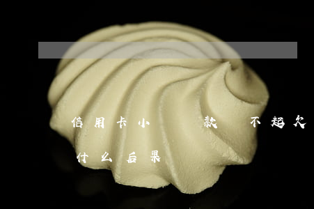 信用卡小額貸款還不起(欠小額信用卡不還有什么后果)