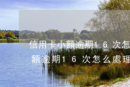 信用卡小額逾期16次怎么處理-信用卡小額逾期16次怎么處理的