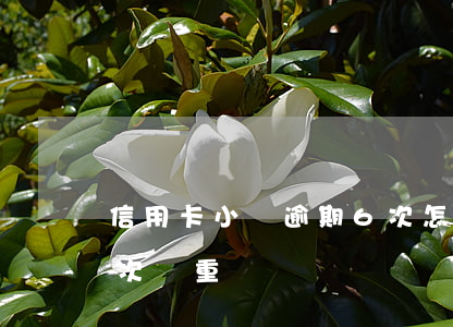 信用卡小額逾期6次怎么辦房貸(貸款逾期五次嚴重嗎)