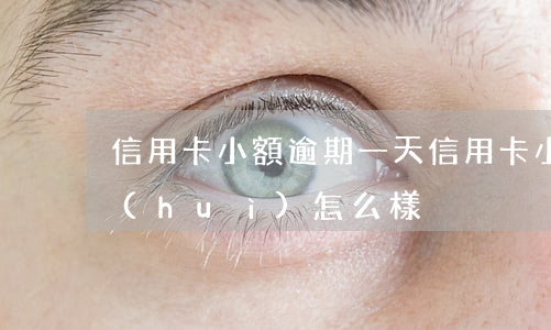 信用卡小額逾期一天(信用卡小額逾期一天會(huì)怎么樣)