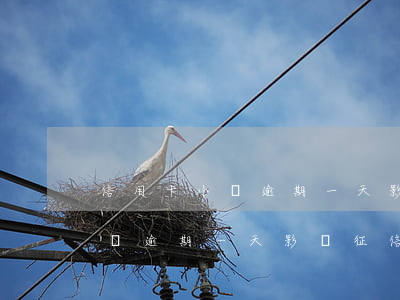 信用卡小額逾期一天影響征信嗎-信用卡小額逾期一天影響征信嗎?