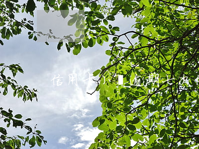 信用卡小額逾期七次(信用卡小額逾期七次)