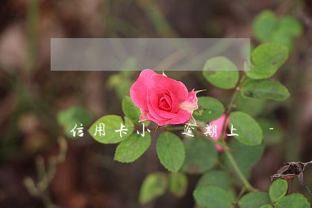 信用卡小額逾期上門-銀行卡逾期上門催收