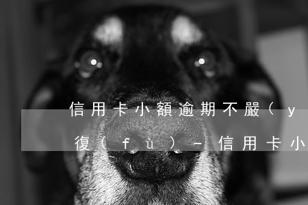 信用卡小額逾期不嚴(yán)重多久能恢復(fù)-信用卡小額逾期不嚴(yán)重多久能恢復(fù)正常