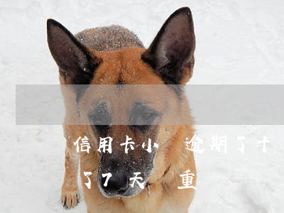 信用卡小額逾期了十幾次(小金額信用卡逾期了7天嚴重嗎)
