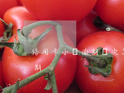 信用卡小額逾期兩次怎么辦(小額度信用卡逾期)
