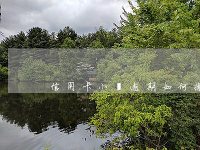 信用卡小額逾期如何撤銷，對征信有影響嗎？