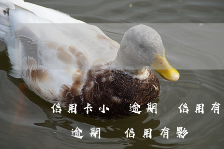 信用卡小額逾期對信用有影響嗎-信用卡小額逾期對信用有影響嗎知乎