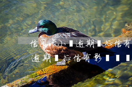信用卡小額逾期對征信有影響嗎(信用卡小額逾期對征信有影響嗎嗎)
