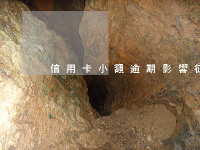 信用卡小額逾期影響征信了怎么辦