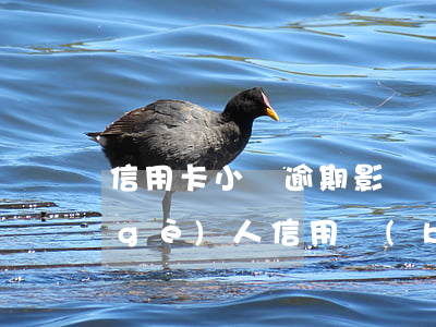信用卡小額逾期影響買(mǎi)房嗎(個(gè)人信用報(bào)告有信用卡逾期影響貸款買(mǎi)房嗎)