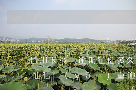 信用卡小額逾期征信多久會(huì)消除 征信嚴(yán)重逾期多久會(huì)消除