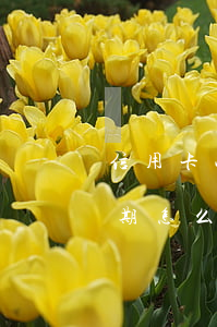 信用卡小額逾期怎么申訴最快（信用卡小額逾期怎么申訴）