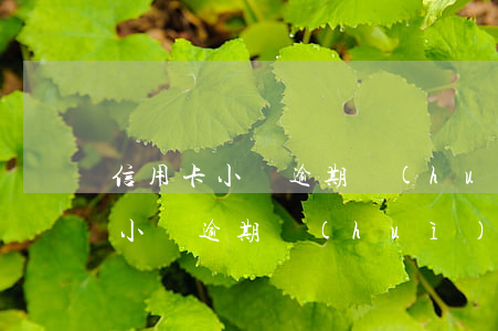 信用卡小額逾期會(huì)上征信(信用卡小額逾期會(huì)上征信嗎)
