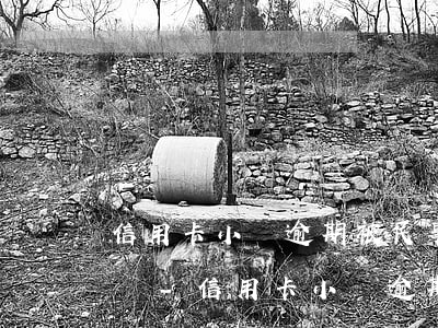 信用卡小額逾期被民事訴訟會(huì)怎樣-信用卡小額逾期被民事訴訟會(huì)怎樣處理