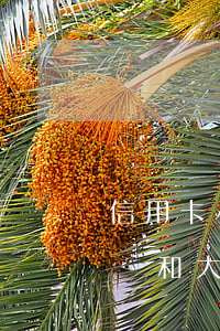 信用卡小額逾期被起訴 信用卡小額逾期被起訴和大額不起訴有啥區(qū)別?