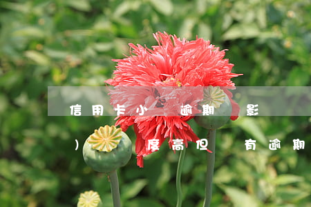 信用卡小額逾期過影響辦首付嗎-負(fù)債額度高但沒有逾期會不會影響其他信用卡的辦理