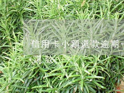 信用卡小額還款逾期一天(信用卡逾期了一周還款)