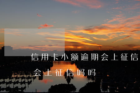 信用卡小额逾期会上征信吗(信用卡小额逾期会上征信吗吗)