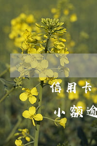 信用卡小额逾期暂时还不了怎么办-信用卡小额逾期暂时还不了怎么办呢