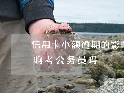 信用卡小额逾期的影响(信用卡小额逾期的影响考公务员吗)