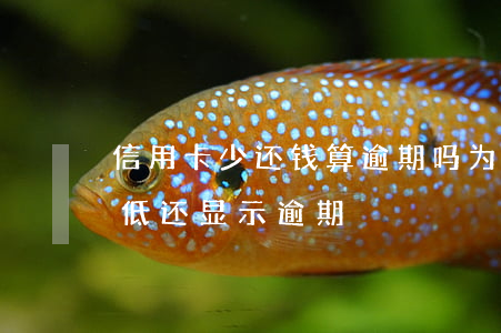 信用卡少还钱算逾期吗(为什么信用卡还了最低还显示逾期)