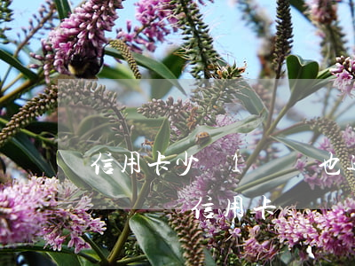 信用卡少還1塊錢也逾期哦(實(shí)在沒錢還信用卡還個幾十塊可以嗎)