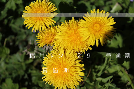 信用卡少還29塊算逾期嗎(信用卡少還29塊算逾期嗎)