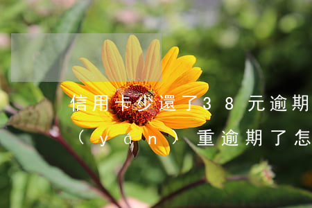 信用卡少還了38元逾期(8張信用卡全部嚴(yán)重逾期了怎么辦)