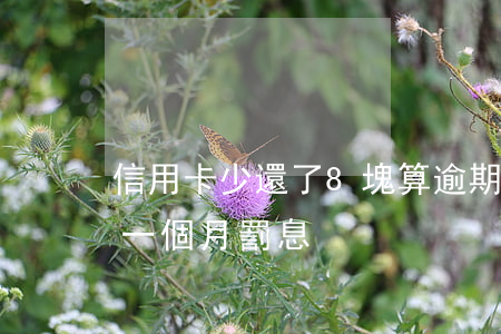 信用卡少還了8塊算逾期嗎(8萬信用卡逾期一個月罰息)