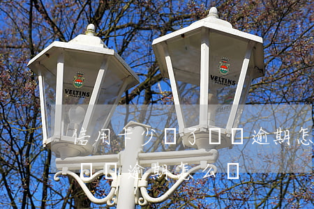 信用卡少還了幾筆逾期怎么辦(信用卡少還了幾筆逾期怎么辦)