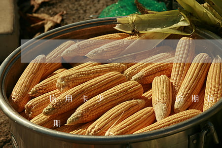 信用卡少還幾塊錢逾期(信用卡少還幾塊錢逾期)