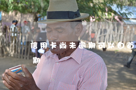 信用卡尚未逾期可以自首嗎(不小心信用卡逾期)