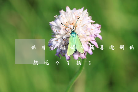 信用卡就好不还算逾期(信用卡逾期好久了,竟然还不了款了)