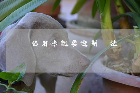 信用卡就要逾期無法還 沒注意信用卡逾期了