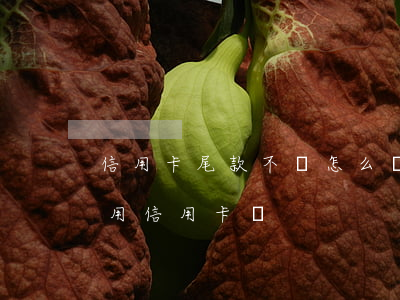 信用卡尾款不還怎么辦(房貸尾款沒下來,能使用信用卡嗎)