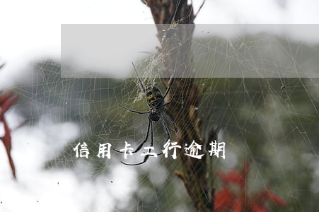 信用卡 工行 逾期