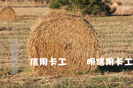 信用卡工資證明(信用卡工資證明怎么開?)