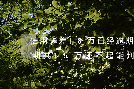 信用卡差18万已经逾期(7家银行信用卡逾期共15万,还不起能判几年?)