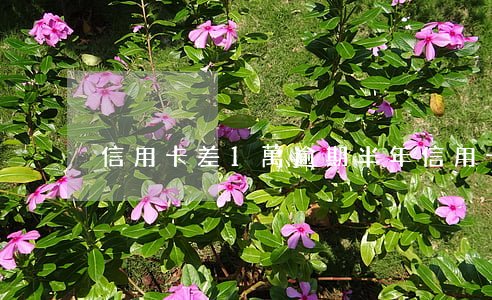 信用卡差1萬逾期半年(信用卡兩千逾期一年)