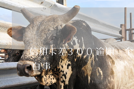 信用卡差300逾期一个月(本命年能不能见白事)