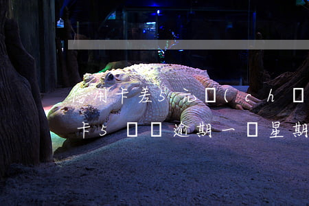 信用卡差5元產(chǎn)生的逾期(信用卡5塊錢逾期一個星期了怎么辦)
