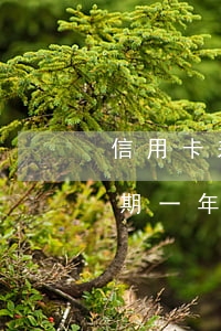 信用卡差70沒還逾期(欠信用卡7.5萬逾期一年每個月都有還)