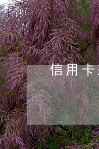 信用卡差六萬逾期 欠信用卡6萬逾期一年了