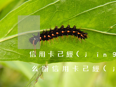 信用卡己經(jīng)逾期還能分期嘛怎么辦（信用卡己經(jīng)逾期還能分期嘛）